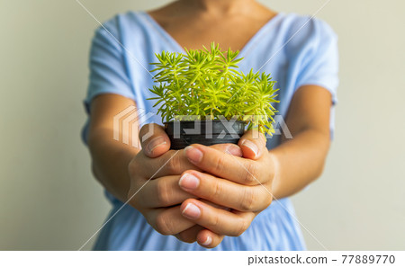 A woman in a blue dress is holding a small green plant in hands and giving it to the camera. A woman in a blue dress is holding a small green plant in hands and giving it to the camera. 77889770