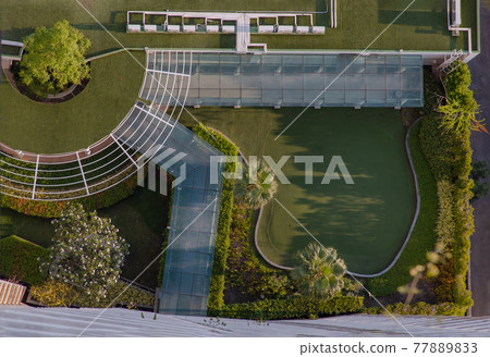 Top down aerial view of outdoor Green garden and Golf Driving Range surrounding palms in the condominium. 77889833