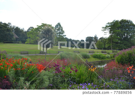 Goudas green Goudas green 77889856