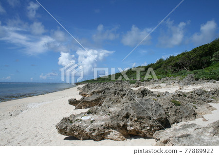 August blue sky on Kudaka Island, Okinawa 77889922