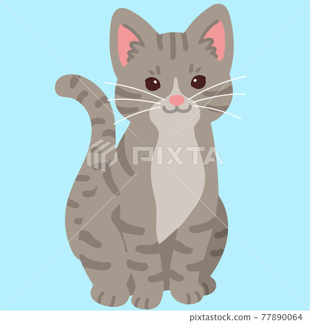 Illustration of a simple and cute Sabatra cat sitting facing forward, without a main line 77890064