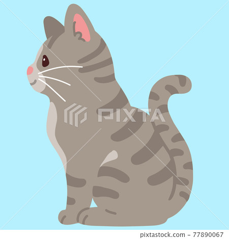 一隻簡單可愛的 Sabatra 貓側身坐在沒有主線的插圖 一隻簡單可愛的 Sabatra 貓側身坐在沒有主線的插圖 77890067