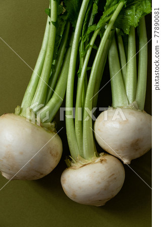 Vegetable turnip Vegetable turnip 77890081