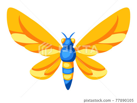 Illustration of colorful butterfly. Stylized decorative insect. 77890105