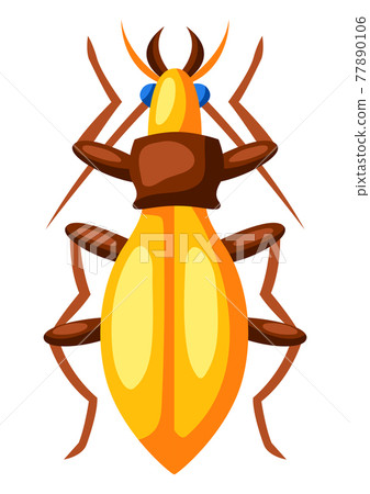 Illustration of colorful beetle. Stylized decorative insect. 77890106