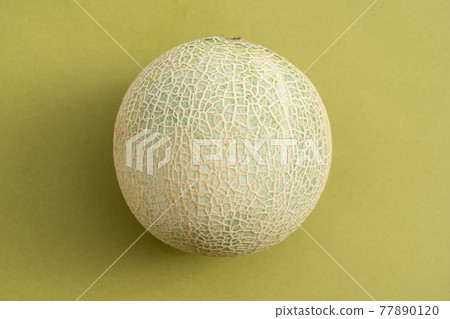 Melon surface 77890120