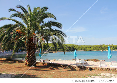 Resort beach on Brac island 77890262