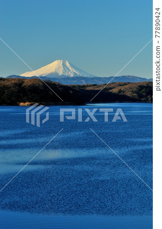 從狹山湖出發的富士山 77890424