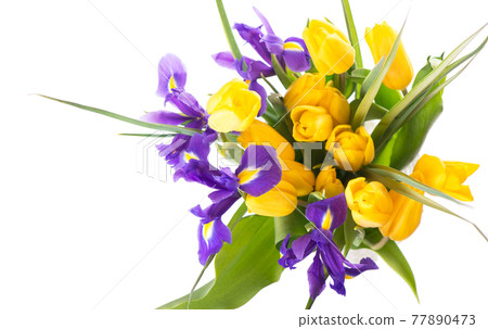 Photo with fresh spring flowers for any festive design. Yellow tulips and purple irises in a vase on a beige background, close-up Photo with fresh spring flowers for any festive design. Yellow tulips and purple irises in a vase on a beige background, close-up 77890473