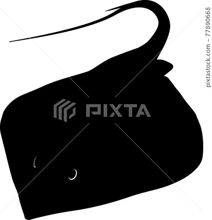 Stingray Stingray 77890668