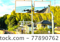 Local lines and nature 77890762