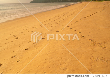 Beautiful of the beach sand texture in summer sun. Background