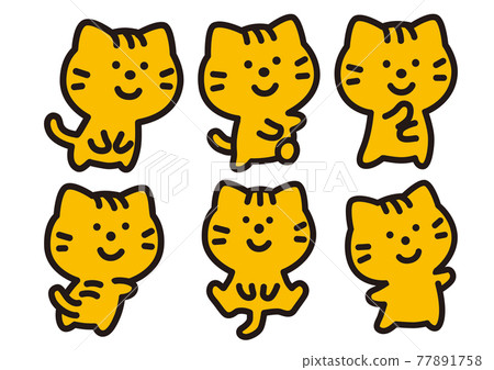 A collection of comical tabby cat poses A collection of comical tabby cat poses 77891758