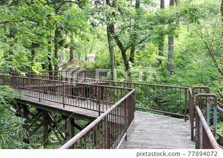 Trim Park Kanazu Nature Zone Forest School(福井縣蘆原市) Trim Park Kanazu Nature Zone Forest School(福井縣蘆原市) 77894072