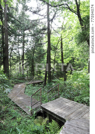 Trim Park Kanazu Nature Zone Forest School（福井縣蘆原市） 77894074