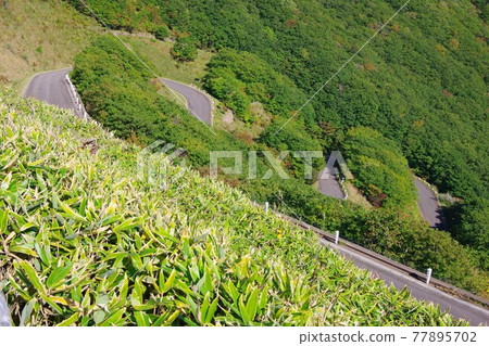 Road leading to Mt. Esan Kaikyo Observatory in Hakodate City, Hokkaido 77895702
