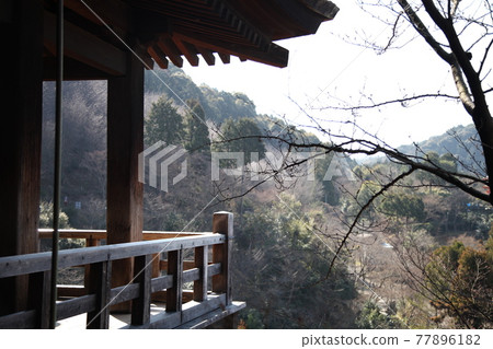 kyoto, kyoto city, autumn 77896182