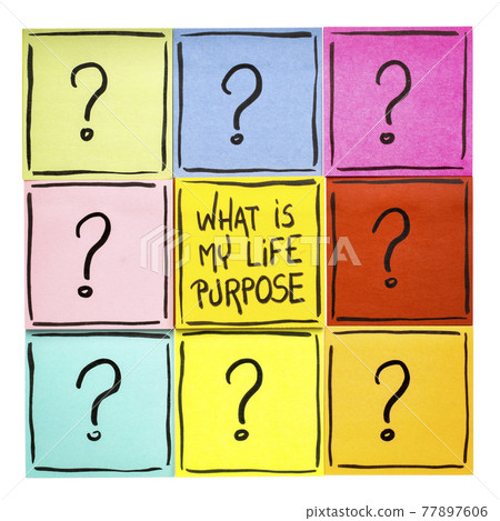 What is my life purpose? What is my life purpose? 77897606