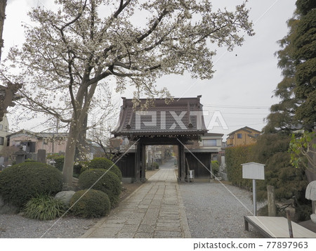 千葉縣流山市流山赤城公明院 千葉縣流山市流山赤城公明院 77897963
