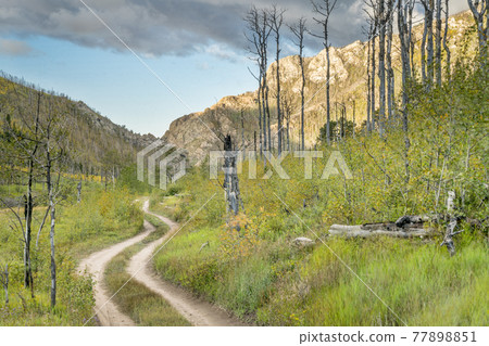 Medano Pass Road in Great Sand Dunes Medano Pass Road in Great Sand Dunes 77898851