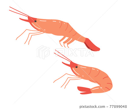 Pink shrimp (sweet shrimp) without lines 77899048