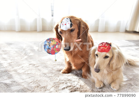 Dachshund and Setsubun Dachshund and Setsubun 77899090