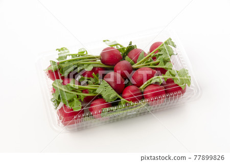 20日本蘿蔔 77899826