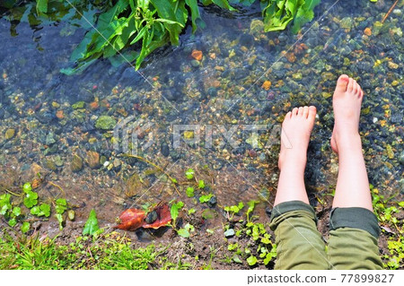 孩子們的腳在美麗的溪水中嬉戲 77899827