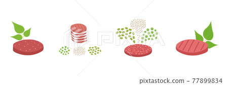 Plant based meat set. Meatless burger patty with green leaves and ingredients such as mung beans, brown rice and pea. Vegan organic food. Vector flat illustration Plant based meat set. Meatless burger patty with green leaves and ingredients such as mung beans, brown rice and pea. Vegan organic food. Vector flat illustration 77899834