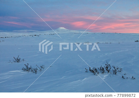 Winter arctic landscape. 77899872