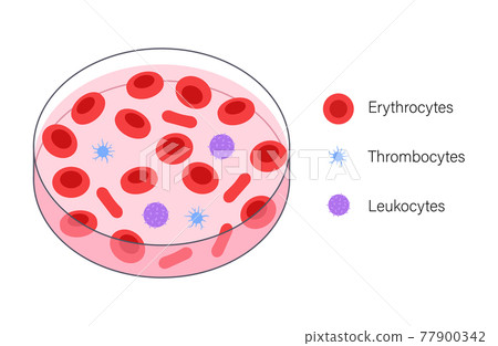 Blood structure concept Blood structure concept 77900342