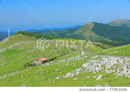 晴空下的四國喀斯特（從五穀高原看到的姬鶴平） 77901009