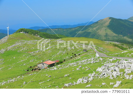 Shikoku Karst under clear skies (Himezurudaira seen from the Godan Plateau) 77901011