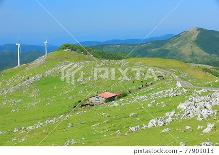 Shikoku Karst under clear skies (Himezurudaira seen from the Godan Plateau) 77901013