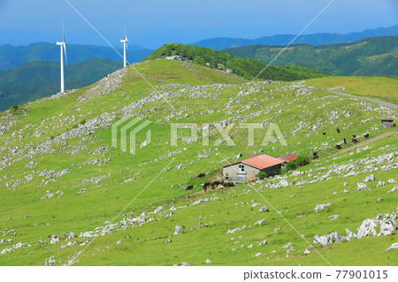 Shikoku Karst under clear skies (Himezurudaira seen from the Godan Plateau) 77901015