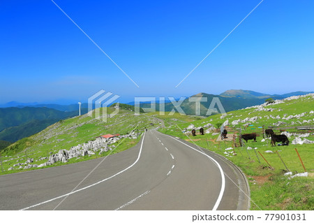 晴空下的四國喀斯特絕景路 77901031