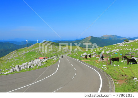 晴空下的四國喀斯特絕景路 晴空下的四國喀斯特絕景路 77901033