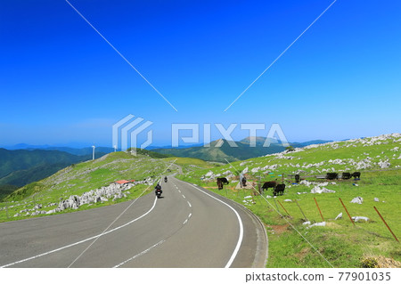 晴空下的四國喀斯特絕景路 77901035