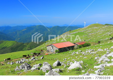 Shikoku Karst under clear skies (Himezurudaira seen from the Godan Plateau) 77901039