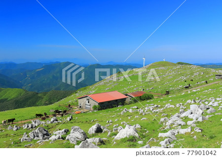 晴空下的四國喀斯特（從五穀高原看到的姬鶴平） 77901042