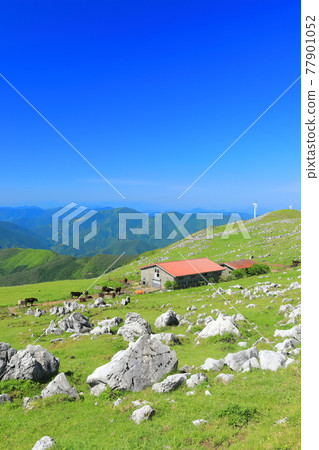 Shikoku Karst under clear skies (Himezurudaira seen from the Godan Plateau) 77901052