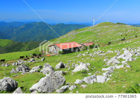 晴空下的四國喀斯特（從五穀高原看到的姬鶴平） 77901065