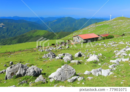 Shikoku Karst under clear skies (Himezurudaira seen from the Godan Plateau) 77901071