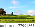 Ranches and grasslands with sheep in the Lake district of England 77901263