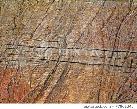 wood texture 77901343
