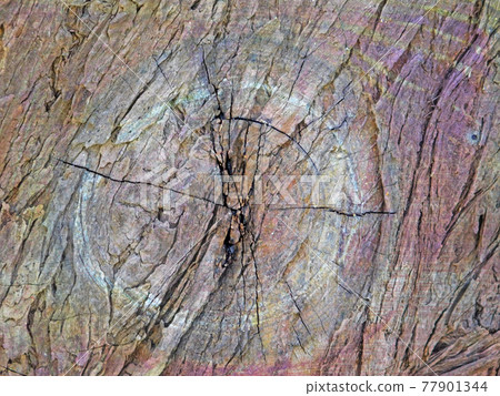 wood texture wood texture 77901344