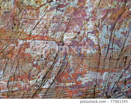 wood texture wood texture 77901345