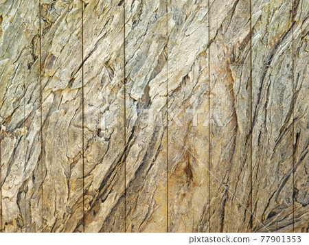 wood texture wood texture 77901353
