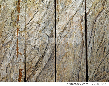 wood texture wood texture 77901354