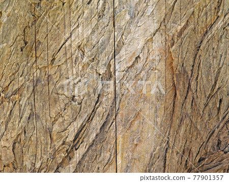 wood texture wood texture 77901357